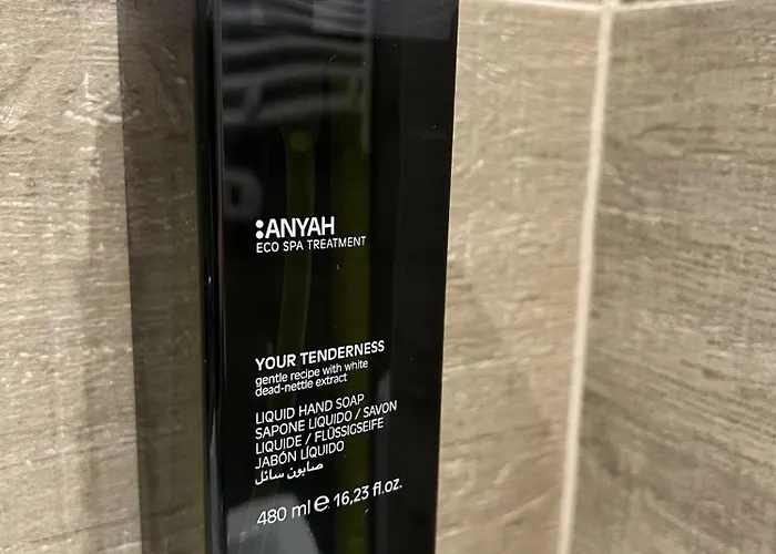 Des 4 Soleils 2* Aix-les-Bains